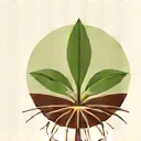 Abstract representation of natural ingredients